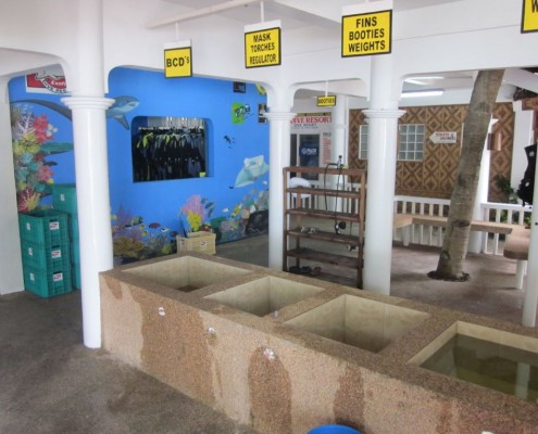 newsletter_philippinen_malapascua_exotic_2