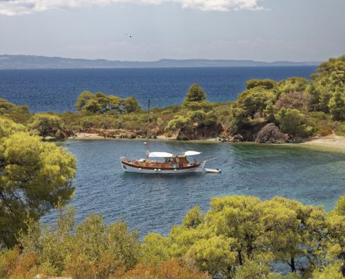 griechenland_kalamitsi_porto_dolphin_dive_sithonia_23