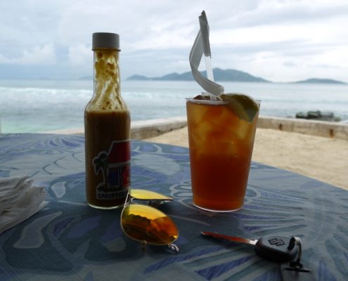karibik_british_virgin_islands_tortola_inseltour_pain_killer