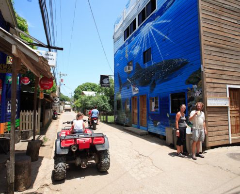karibik_honduras_utila_insel_walhai_strand_insidertipp_1