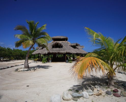 karibik_honduras_utila_insel_walhai_strand_insidertipp_3