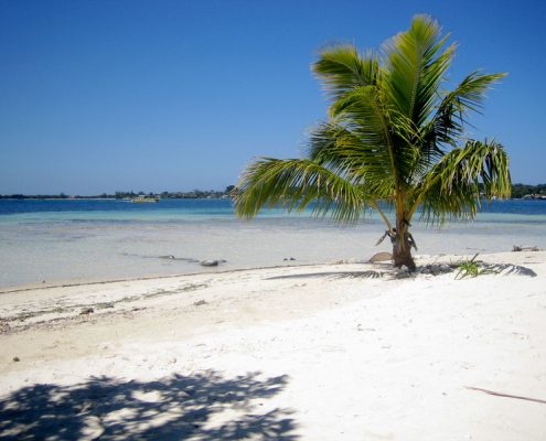 karibik_honduras_utila_insel_walhai_strand_insidertipp_6