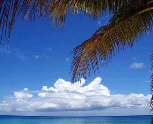 reisebericht_cuba_maria_la_gorda_havanna_lange_6