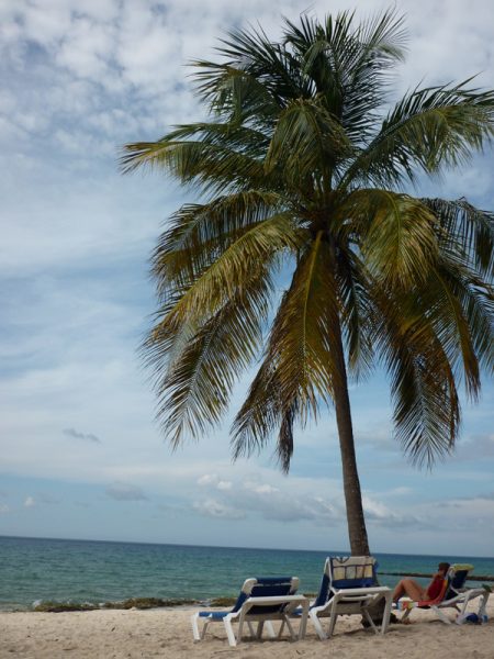 reisebericht_cuba_maria_la_gorda_tauchgebiet_sandra_18