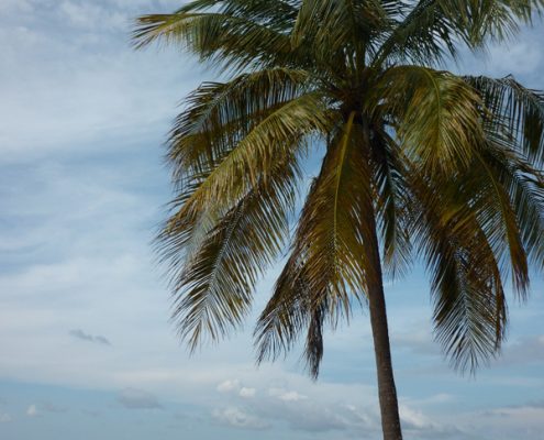 reisebericht_cuba_maria_la_gorda_tauchgebiet_sandra_18