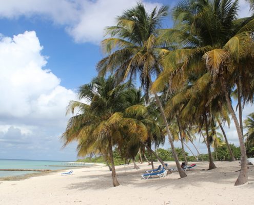 reisebericht_cuba_maria_la_gorda_tauchgebiet_sandra_25