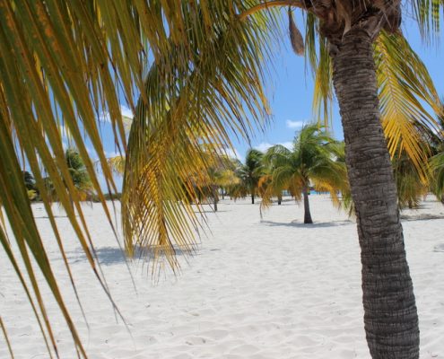 reisebericht_cuba_sol_club_cayo_largo_sandra_10