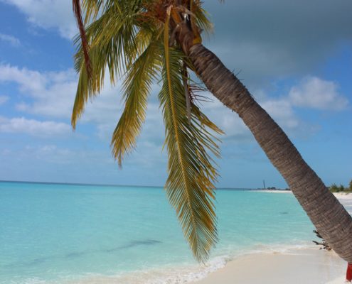 reisebericht_cuba_sol_club_cayo_largo_sandra_13