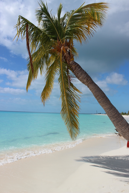 reisebericht_cuba_sol_club_cayo_largo_sandra_13