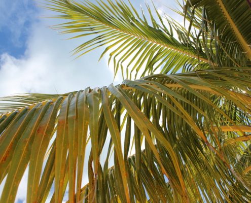 reisebericht_cuba_sol_club_cayo_largo_sandra_7
