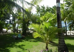 reisebericht_philippinen_cebu_moalboal_12