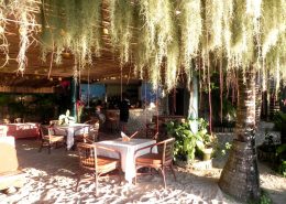 reisebericht_philippinen_cebu_moalboal_14