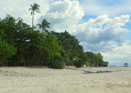 reisebericht_philippinen_cebu_moalboal_5