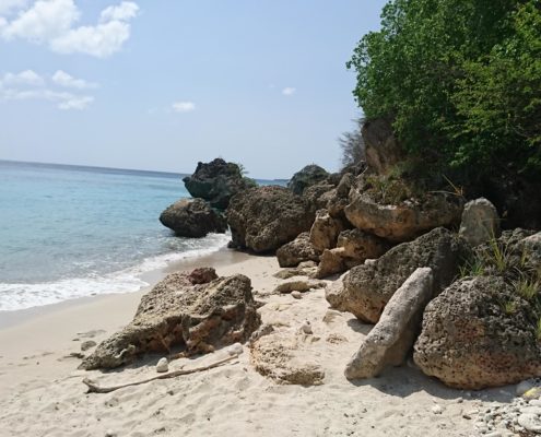 reisebericht_bonair_curacao_sieber_6
