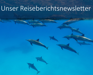 banner_reiseberichtsnewsletter3