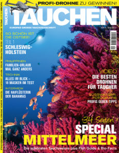 roatan_tauchen_haie_titelbild
