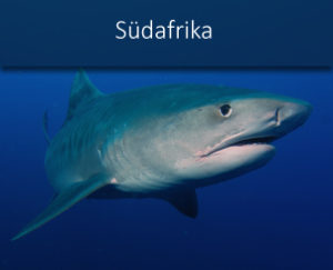 banner_angebote_suedafrika