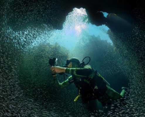honduras_roatan_utila_tauchen_unterwasser_wolfgang_pölzer_dive_neu_2