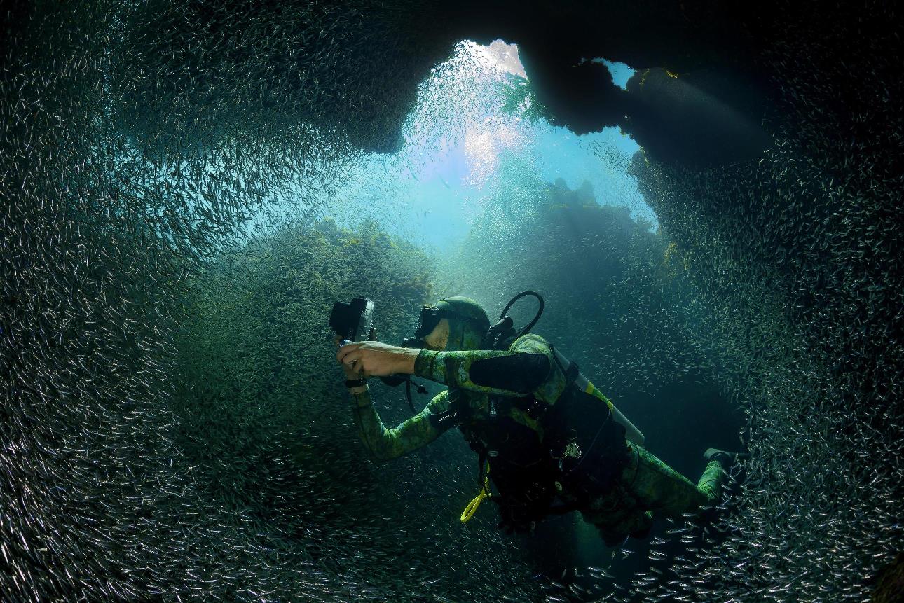 honduras_roatan_utila_tauchen_unterwasser_wolfgang_pölzer_dive_neu_2