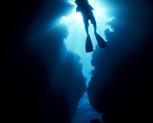 honduras_roatan_utila_tauchen_unterwasser_wolfgang_pölzer_dive_neu_3