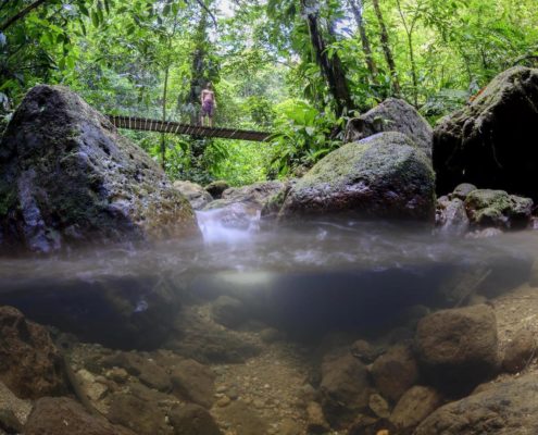 panacam_nationalpark_wolfgang_pölzer_honduras_roatan_utila_2