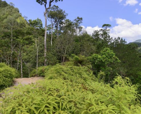 panacam_nationalpark_wolfgang_pölzer_honduras_roatan_utila_3