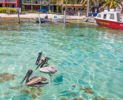 belize_ambergris_caye_san_pedro_037