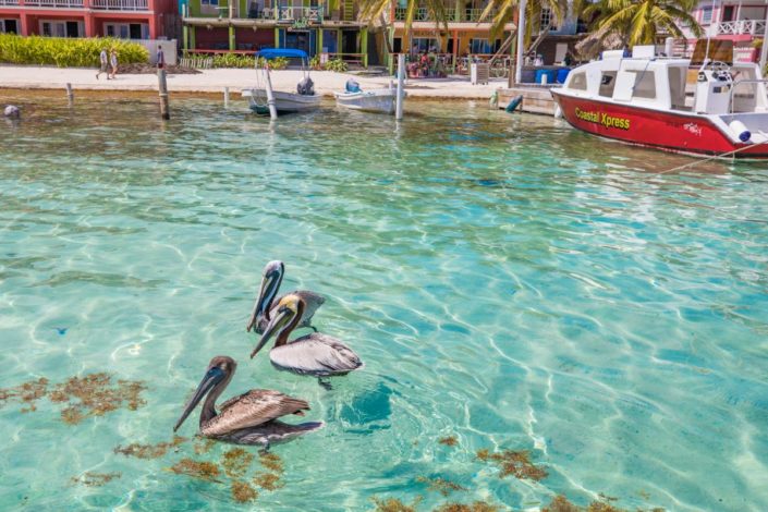 belize_ambergris_caye_san_pedro_037