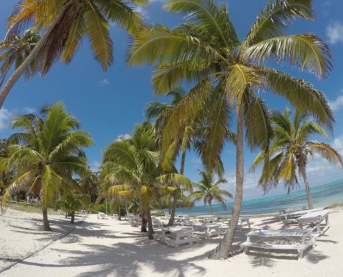 karibik-belize-lighthouse_reef_blue_hole_halfmoon_caye_5