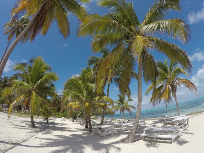 karibik-belize-lighthouse_reef_blue_hole_halfmoon_caye_5