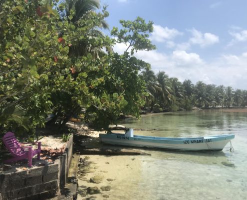 karibik-belize-hopkins-placencia-south-water-caye_0859