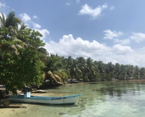 karibik-belize-hopkins-placencia-south-water-caye_0861