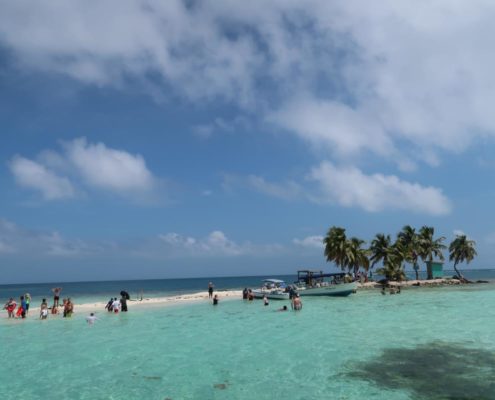 karibik-belize-placencia-gladden-spit-and-silk-cayes-walhaie_0667 - Kopie