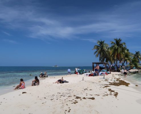 karibik-belize-placencia-gladden-spit-and-silk-cayes-walhaie_0678
