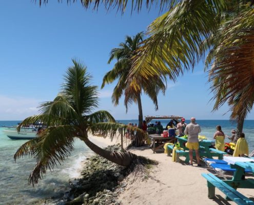 karibik-belize-placencia-gladden-spit-and-silk-cayes-walhaie_0682