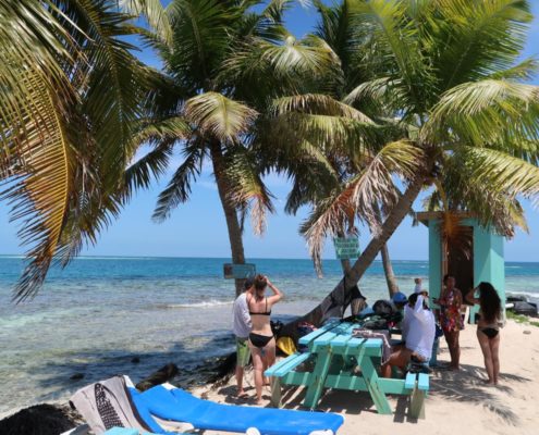 karibik-belize-placencia-gladden-spit-and-silk-cayes-walhaie_0684