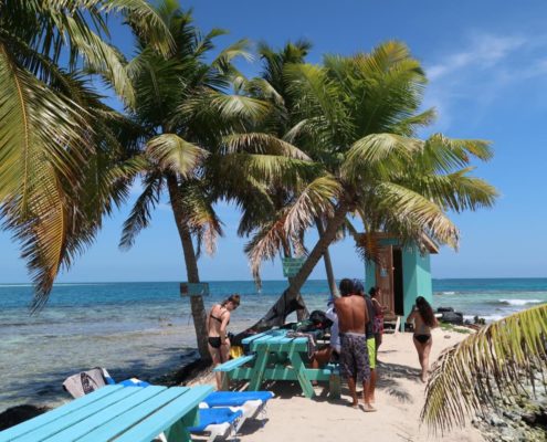 karibik-belize-placencia-gladden-spit-and-silk-cayes-walhaie_0685