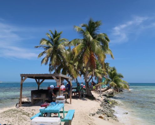karibik-belize-placencia-gladden-spit-and-silk-cayes-walhaie_0686