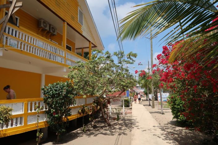 karibik-belize-placencia_0739