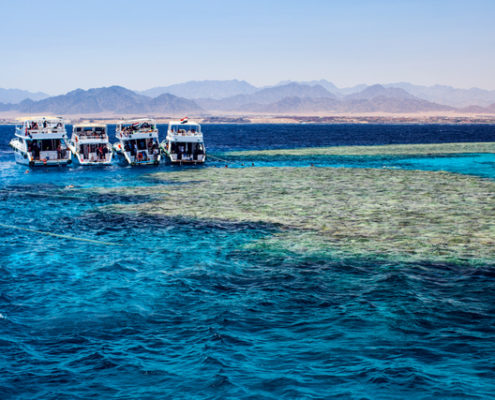 aegypten_tauchen_rotes_meer_sharm_el_sheikh_tauchboote
