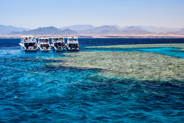 aegypten_tauchen_rotes_meer_sharm_el_sheikh_tauchboote