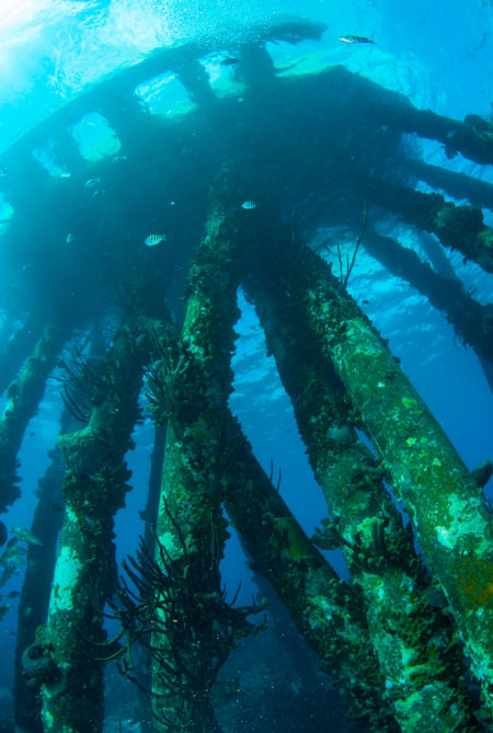 karibik_bonaire_tauchen_marine_park_tauchgebiet_2