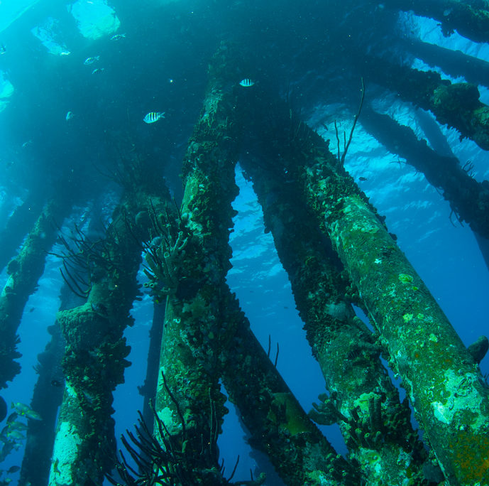 karibik_bonaire_tauchen_marine_park_tauchgebiet_2