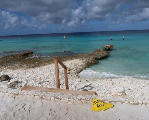 karibik_bonaire_delfins_beach_resort_12