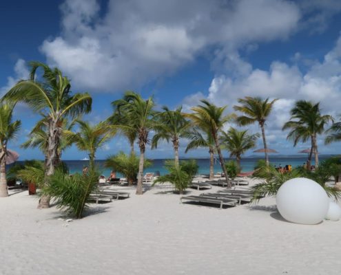 karibik_bonaire_delfins_beach_resort_28