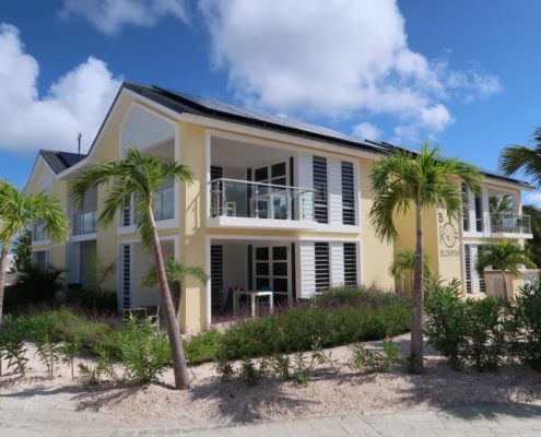 karibik_bonaire_delfins_beach_resort_37