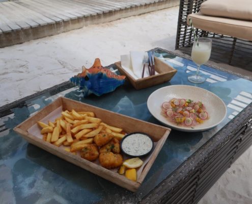 karibik_bonaire_delfins_beach_resort_50