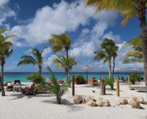 karibik_bonaire_delfins_beach_resort_70