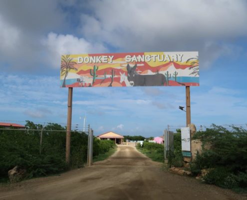 karibik_bonaire_landschaft_allgemein_20