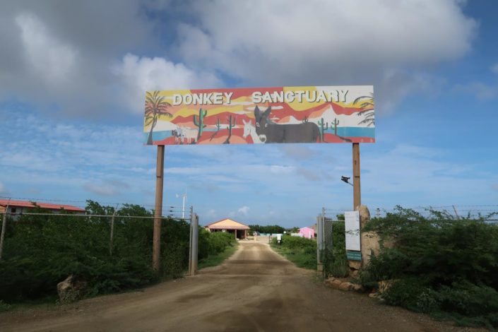 karibik_bonaire_landschaft_allgemein_20